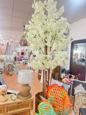 Flores, plantas y maceteros