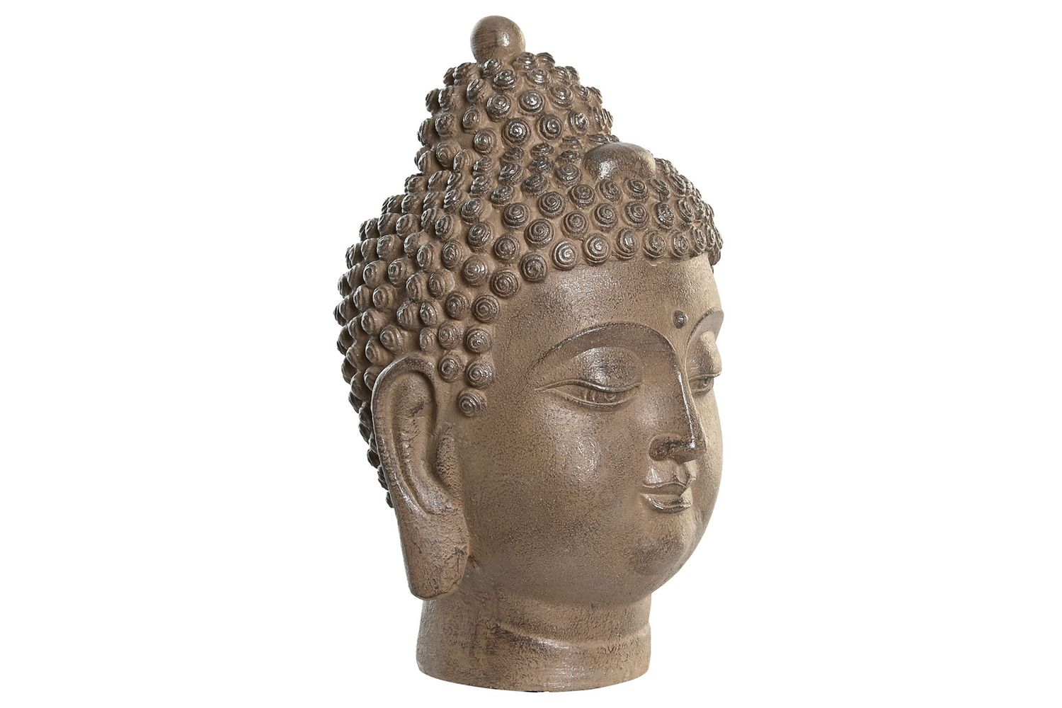BUDA CABEZA MARRÓN