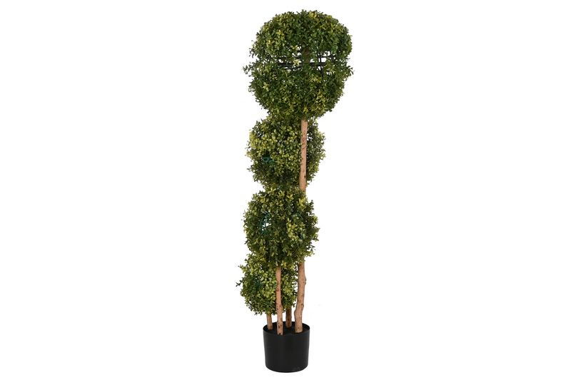 PLANTA SETOS VERDE