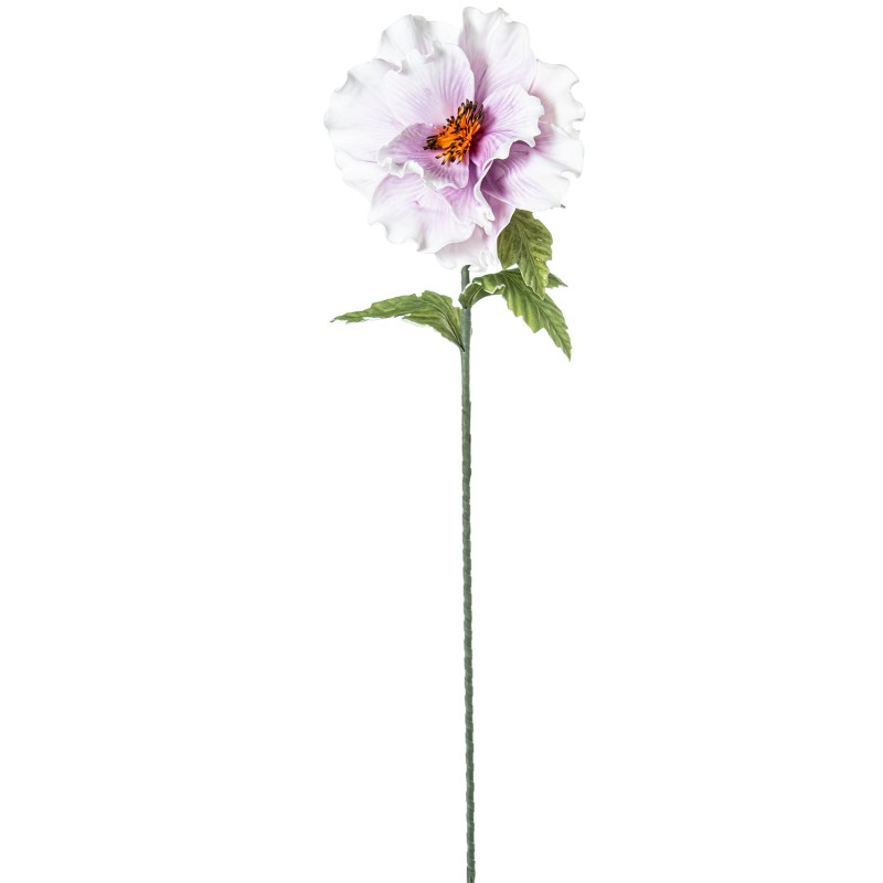 FLOR BLANCA/MALVA