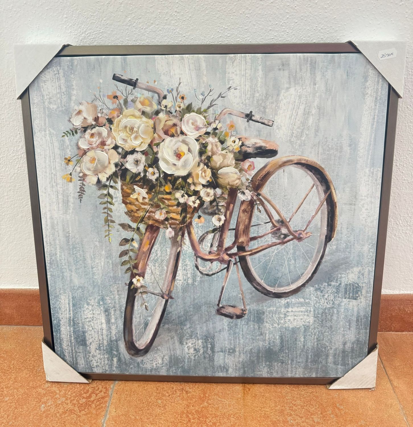 CUADRO BICI ENMARCADO