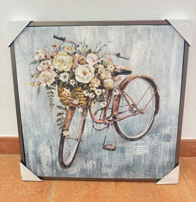 CUADRO BICI ENMARCADO