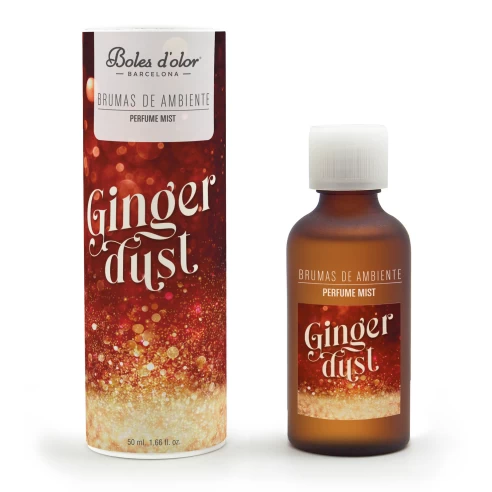 BRUMA AMBIENTE GINGER DYST (50 ml.)