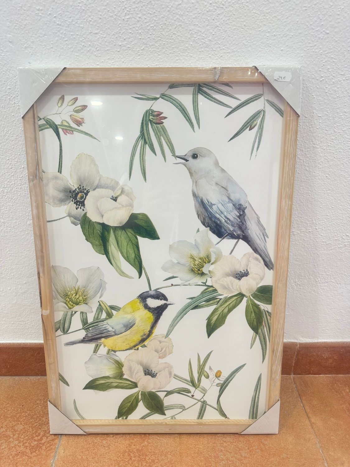 CUADRO ENMARCADO PÁJAROS