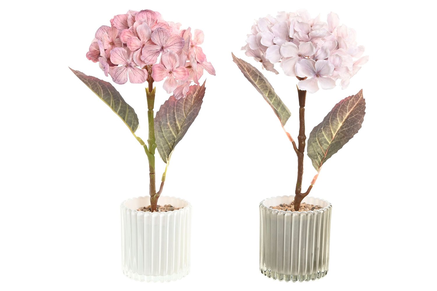 SET DE 2 HORTENSIAS