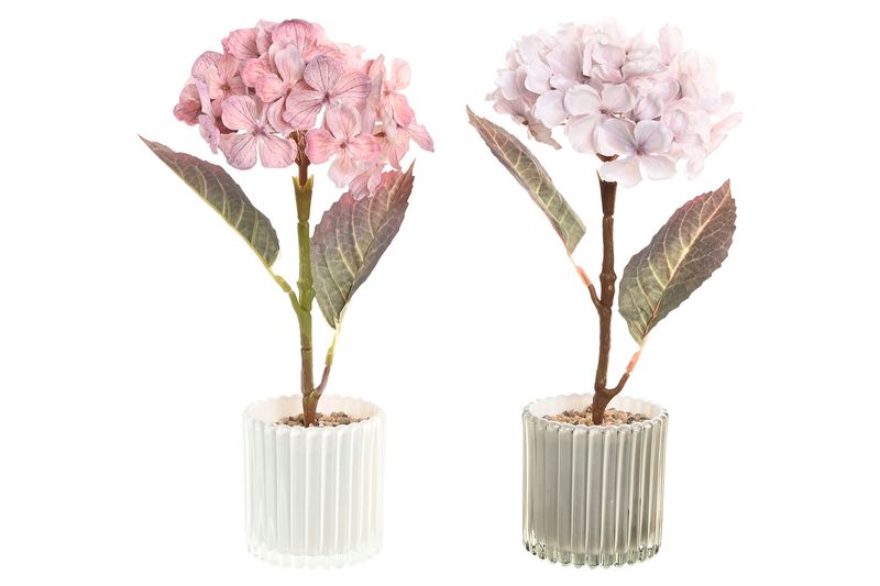 SET DE 2 HORTENSIAS