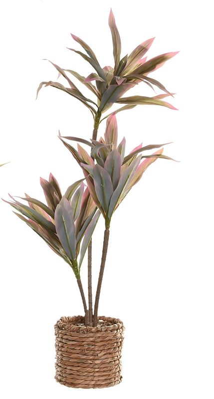 PLANTA CON BASE DE FIBRA