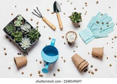 Garden Center