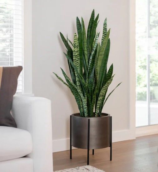 FAUX 53&quot; SNAKE PLANT