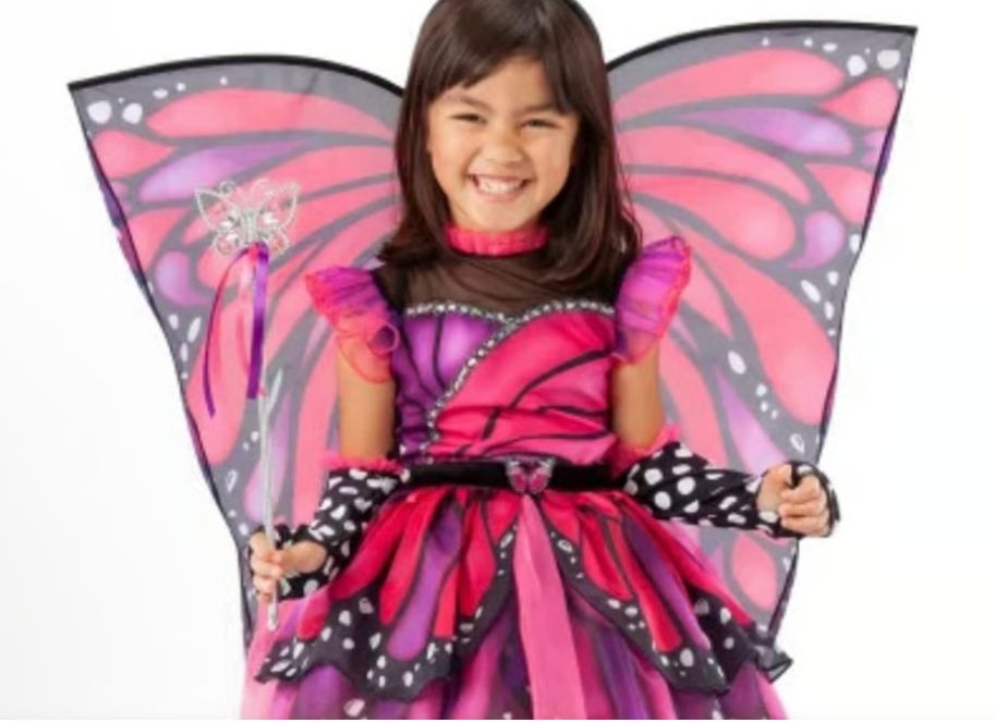 Evening Butterfly Costume
