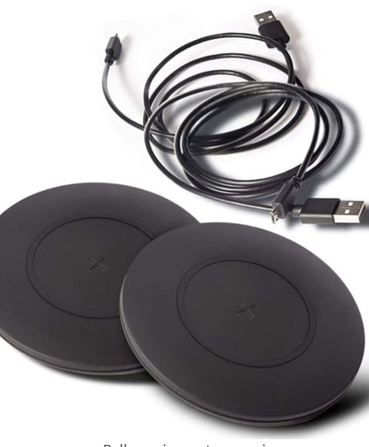 TYLT Dual Charger