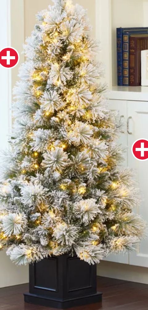 Potted Christmas Tree 4.5 Ft