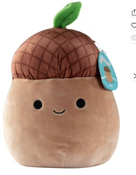 Acorn Squishmallow-Retail-$ 24.99