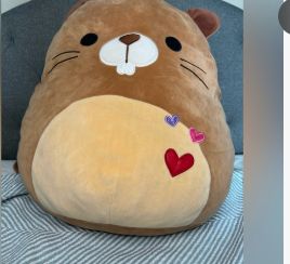 Beaver Squishmallow- Retail- $ 34.96 ( he has a sore on his side)