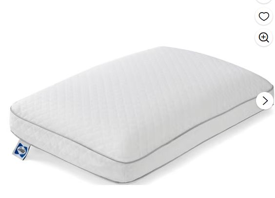 Sealy Down Alternative Pillow 2-pack, Retail 25.99