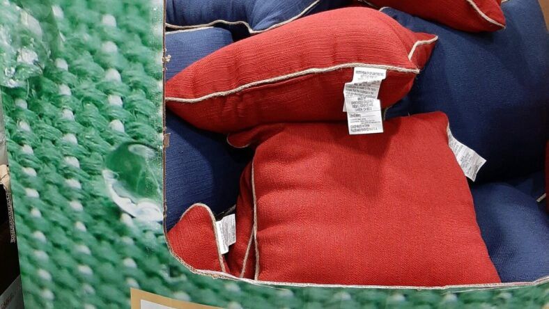 Solarium-Indoor-Outdoor-Decorative-Pillow - Retail $9.99