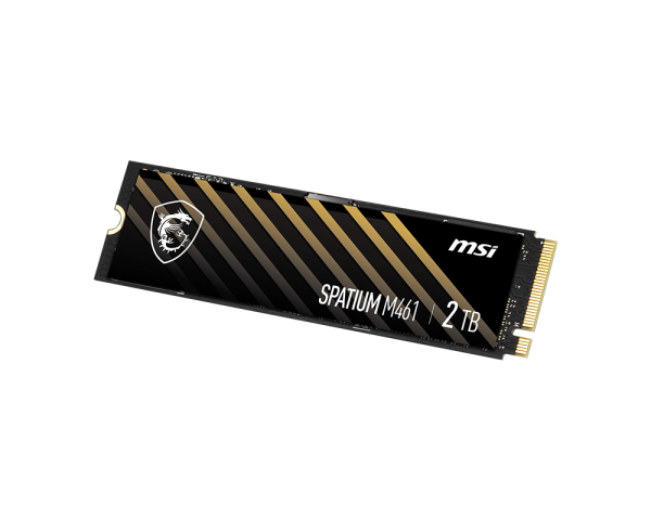 SPATIUM M461 PCIe 4.0 NVMe M.2