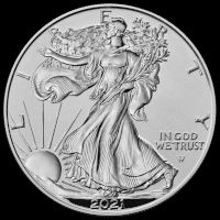 Gold/Silver Coins ( Cash Only), type: 1 oz American Silver Eagle Coin - Random Year