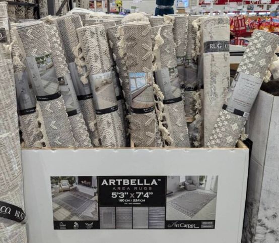 HASTINGS 5X7 RUG - Retail $79.99