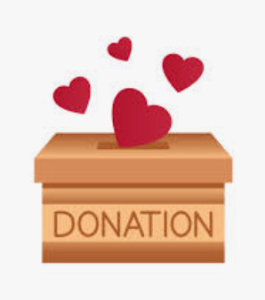 Donation to Princess Warrior Foundation