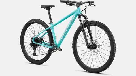 ROCKHOPPER EXPERT 29 LGNBLU/LTSIL XL