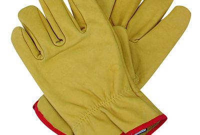 Gloves