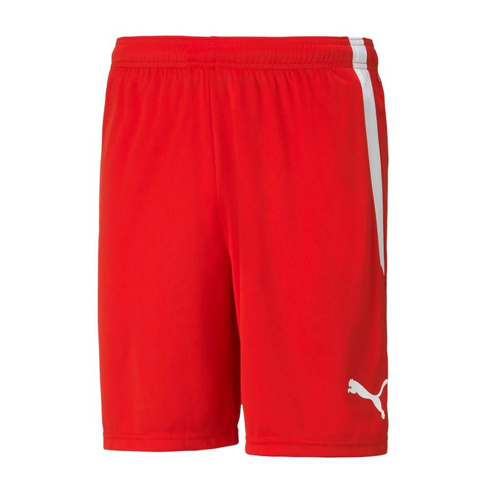 Puma TeamLiga Shorts (Red) - Adult, Size: Medium