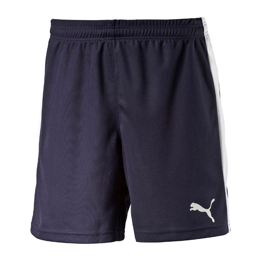 Puma Pitch Shorts (Navy Blue) - Adult, Size: Small
