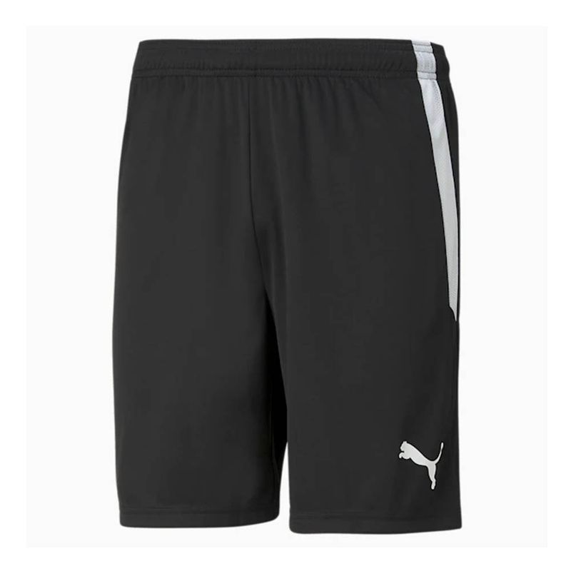 Puma TeamLiga Shorts (Black) - Adult