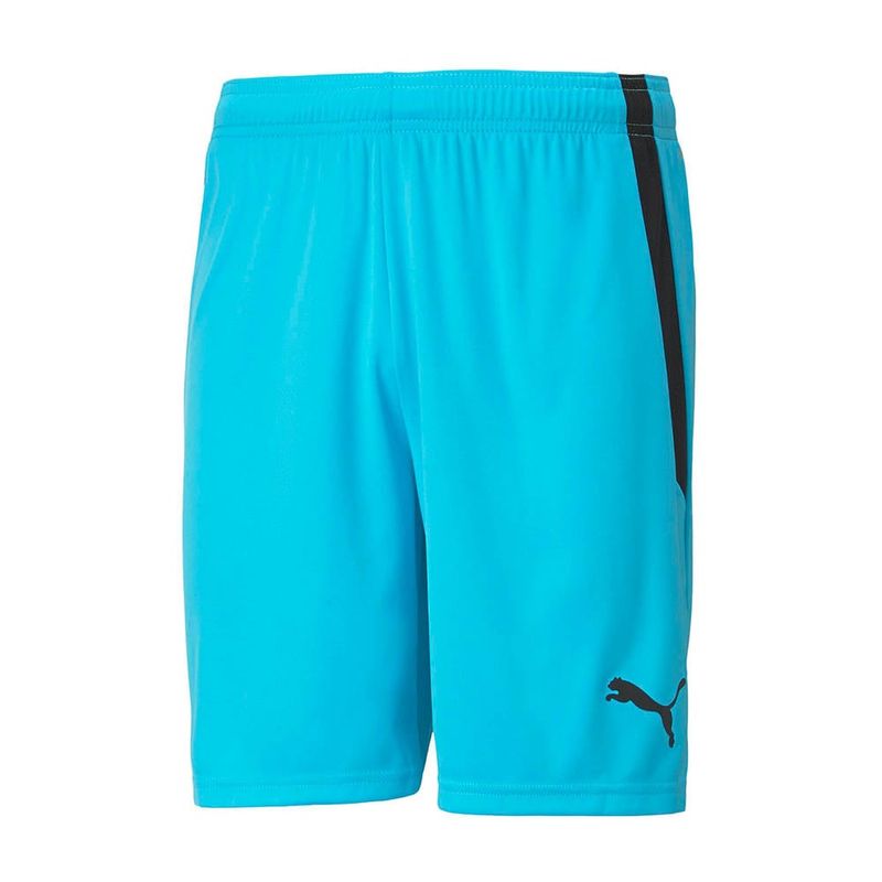 Puma TeamLiga Shorts (Atoll Blue) - Adult