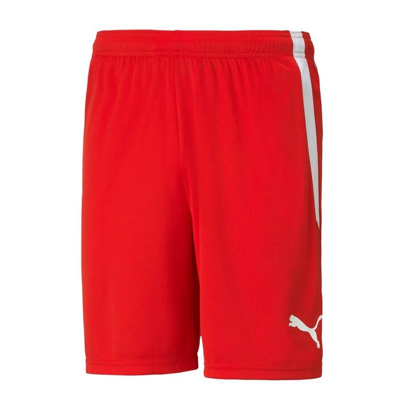 Puma TeamLiga Shorts (Red) - Adult
