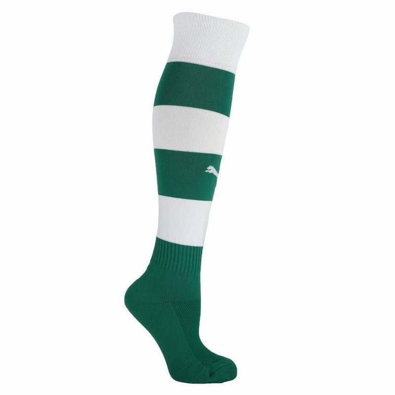 Puma Team Hoop Sock - Adult