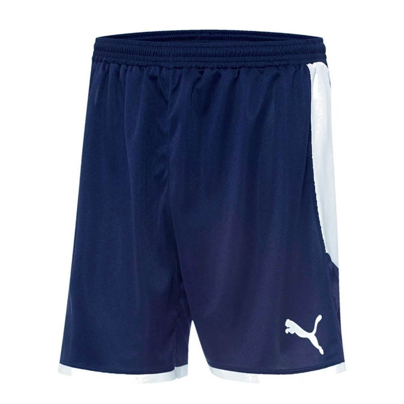 Puma Borussia Shorts (Navy Blue) - Adult