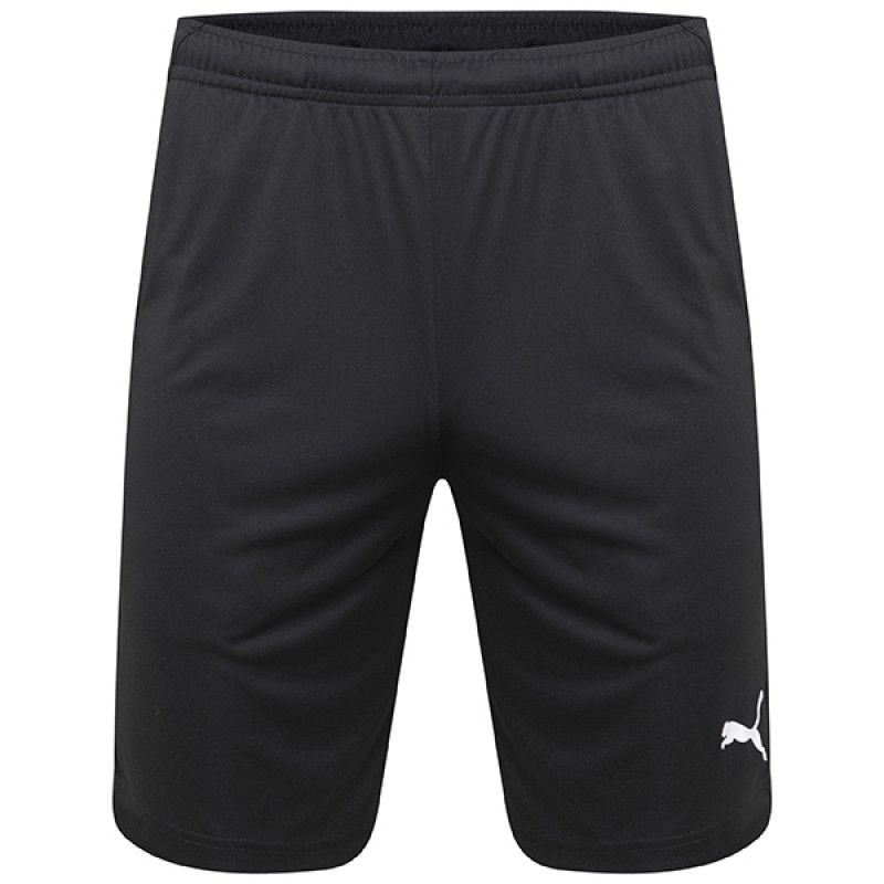 Puma Team Liga Training Shorts - Adult