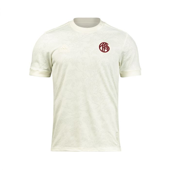 Adidas Bayern Munich 2023-24 Third Jersey - Adult