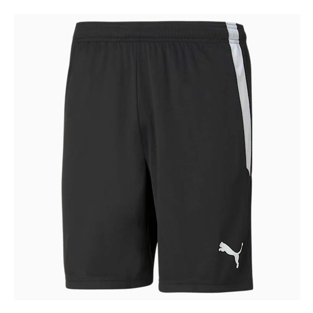 Puma TeamLiga Shorts (Black) - Adult, Size: Medium