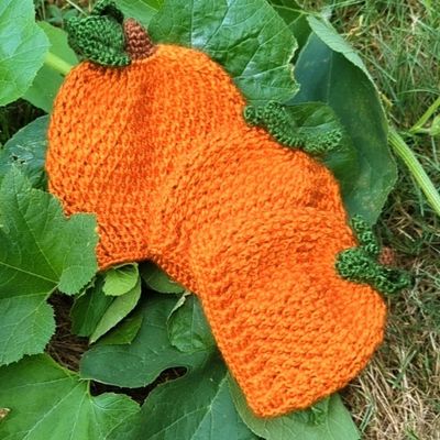 Pumpkin Hat