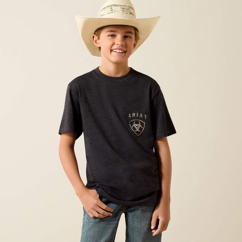 Ariat American Bison  Grey  T-Shirt