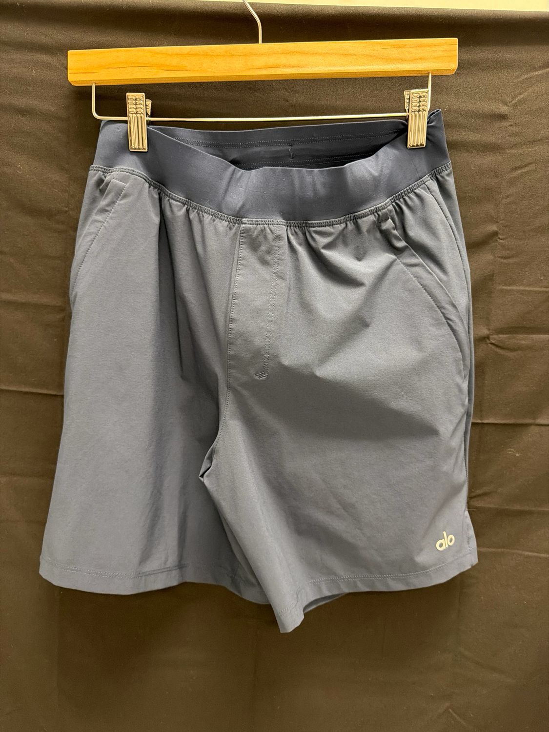 Alo Shorts Navy Sz S