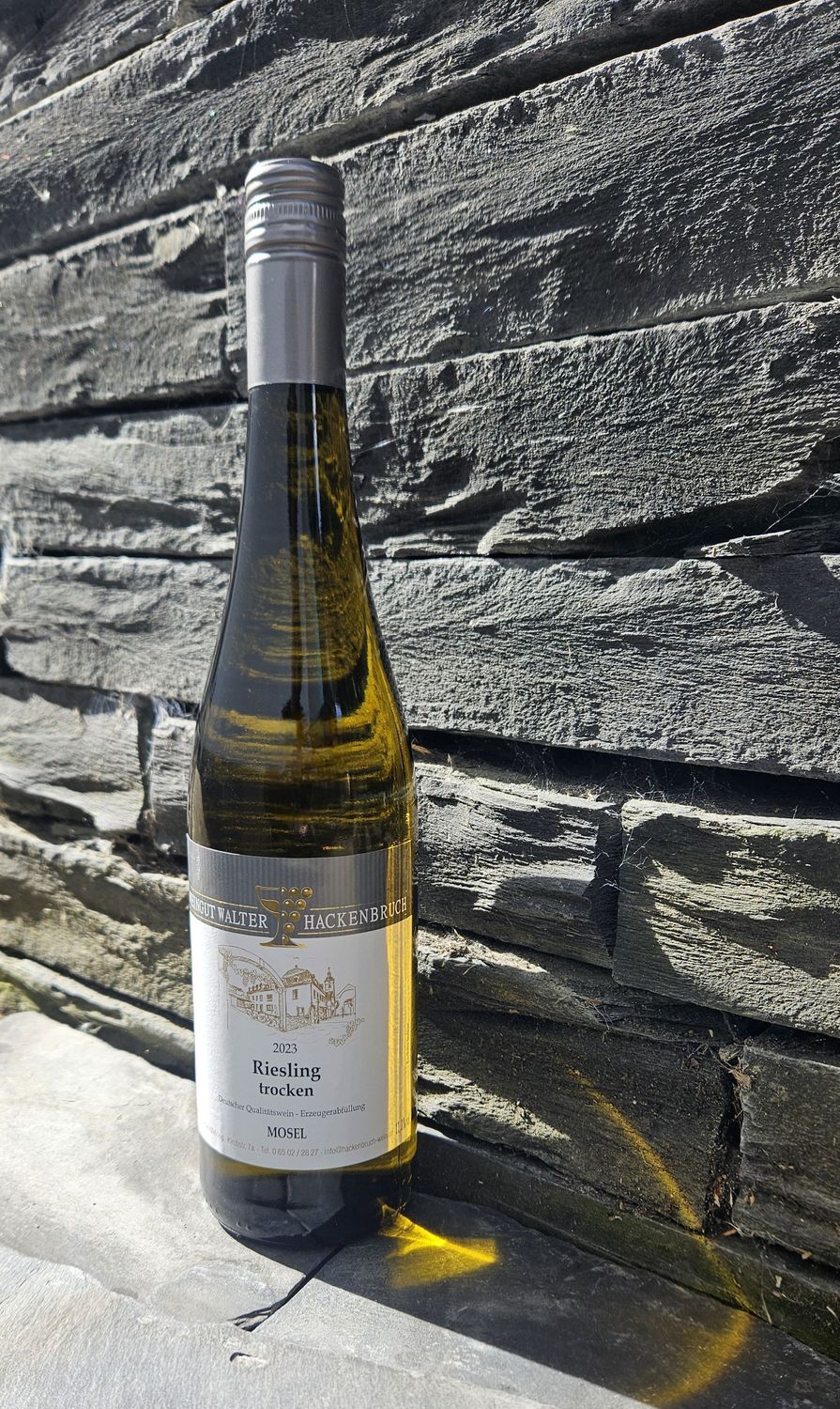 2023er Riesling -Trocken-