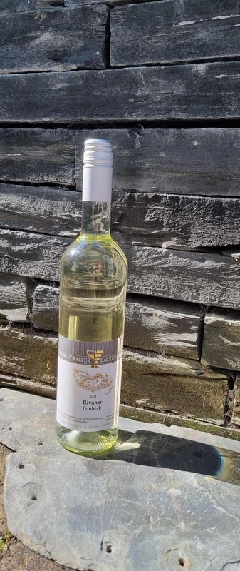 2024er Rivaner - Feinherb
