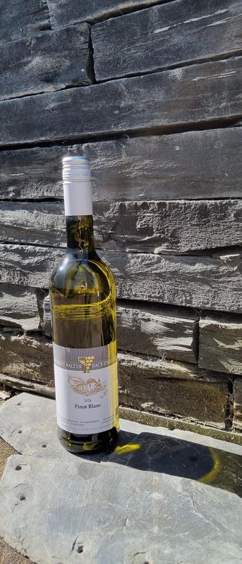 2024er Pinot Blanc