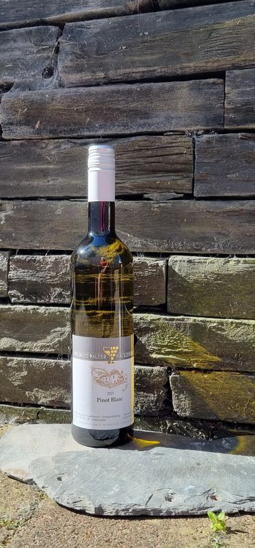 2025er Pinot Blanc 2025er Pinot Blanc