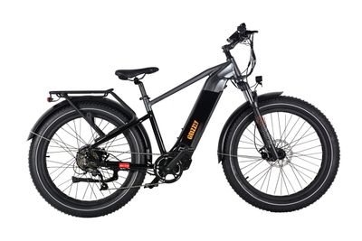 Fat bike Grizzly