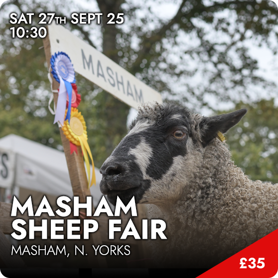Masham Sheep Fair