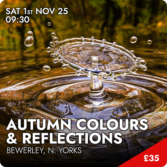 Autumn Colours & Reflections