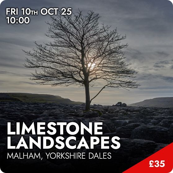 Limestone Landscapes