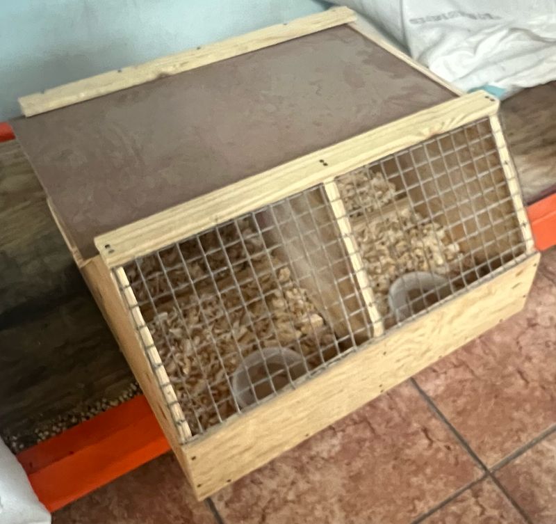 Shipping Box