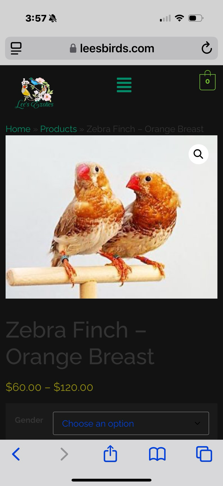Zebra Finch Orange Mutations