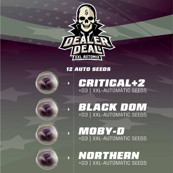 Dealer Deal Automix x8
